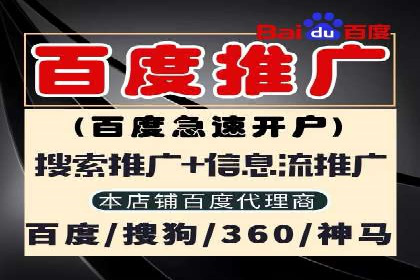 百度竞价代运营成功案例解析